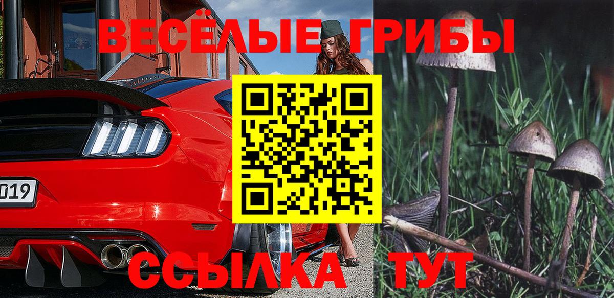 купить закладку  Псилоцибиновые грибы Psilocybe  Вход с VPN  Миллерово 