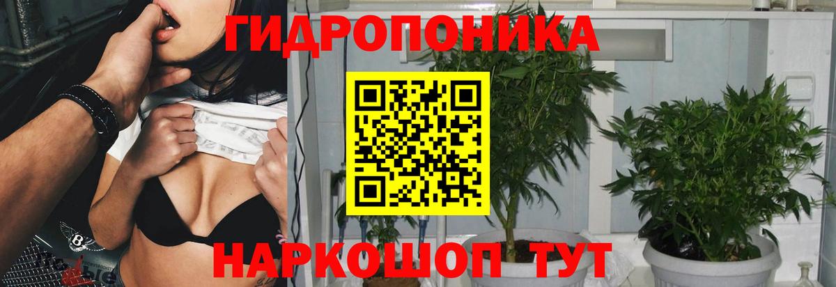 Бошки марихуана VHQ Миллерово